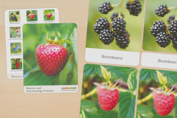 nomen_beeren_t