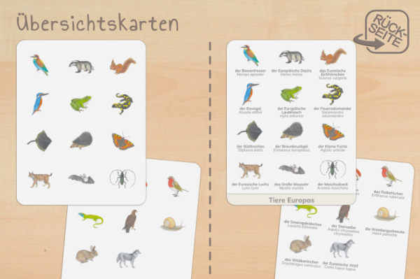nomen_europa_druck_b