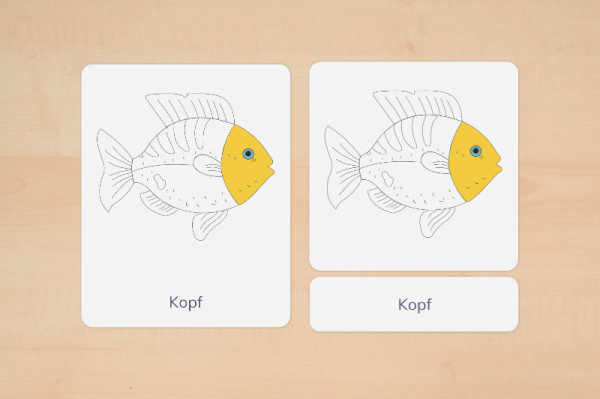 nomen_fisch_silben_2