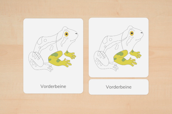 (Deutsch - Druckschrift - Download)