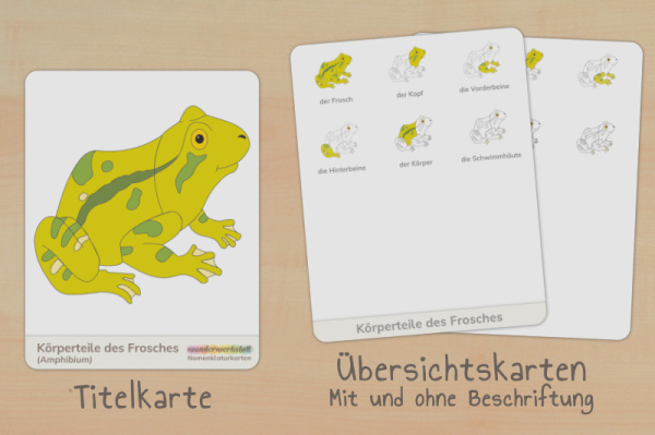 (Deutsch - Druckschrift - Download)