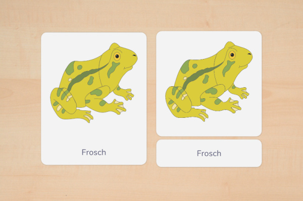 nomen_frosch_silben_1