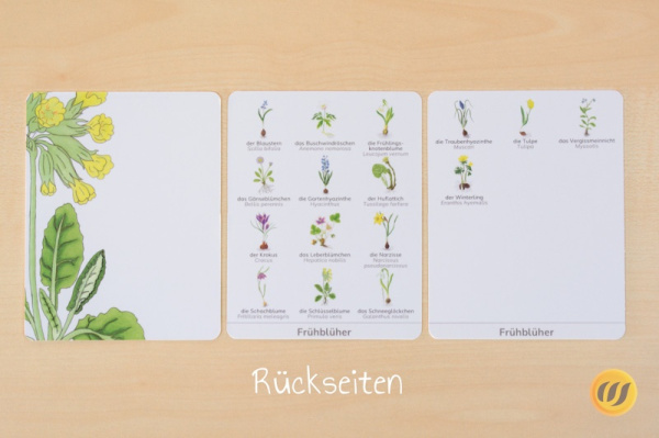 nomen_frueh_druck7