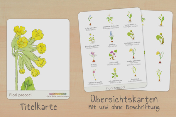 nomen_fruehblueher_italienisch_titel_2