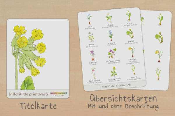 nomen_fruehblueher_rumaenisch_titel_2