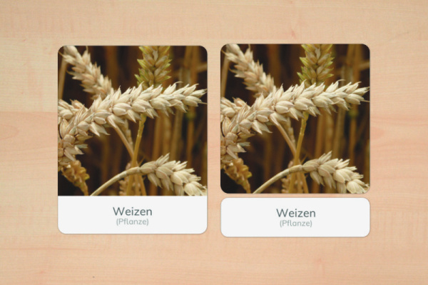 nomen_getreide_2