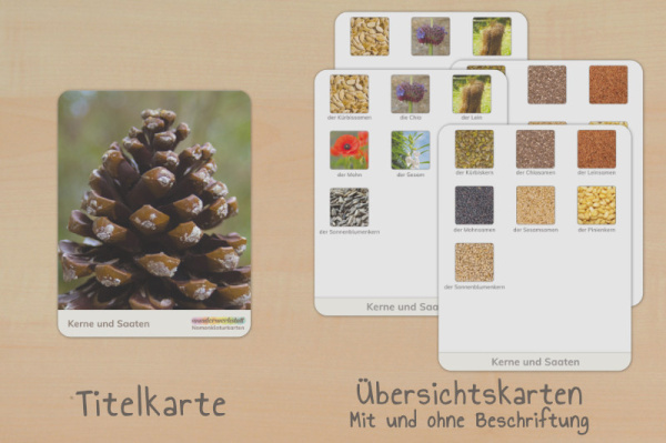 (Deutsch - Druckschrift - Download)