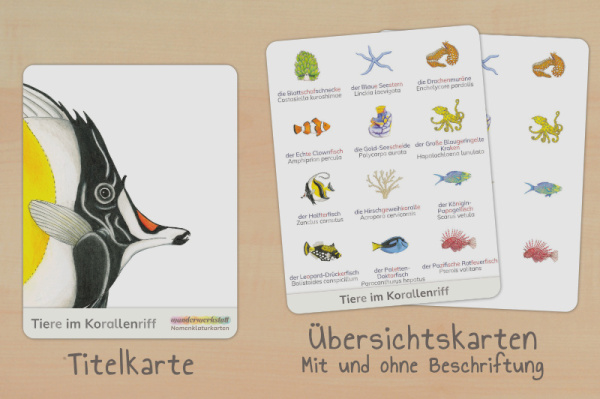nomen_korallenriff_silben_titel_2