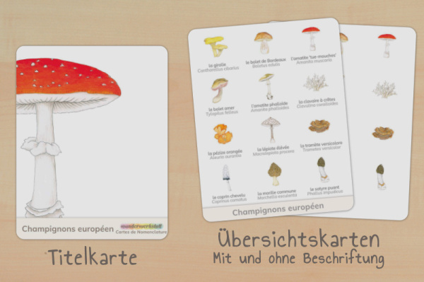 nomen_pilze_franz_titel_2