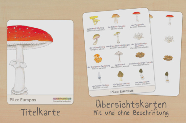 nomen_pilze_silben_titel_2
