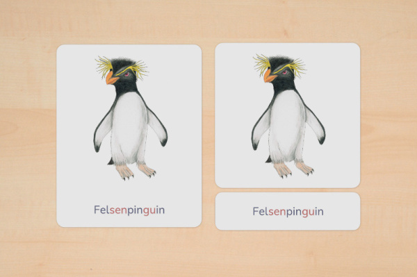 nomen_pinguine_silben_2