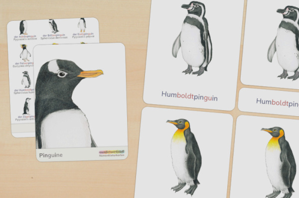 nomen_pinguine_silben_titel_1