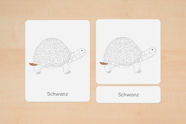 nomen_schildi_down_2