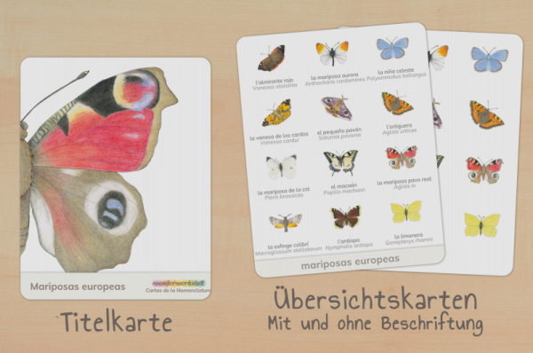 nomen_schmetterlinge_italienisch_titel_2
