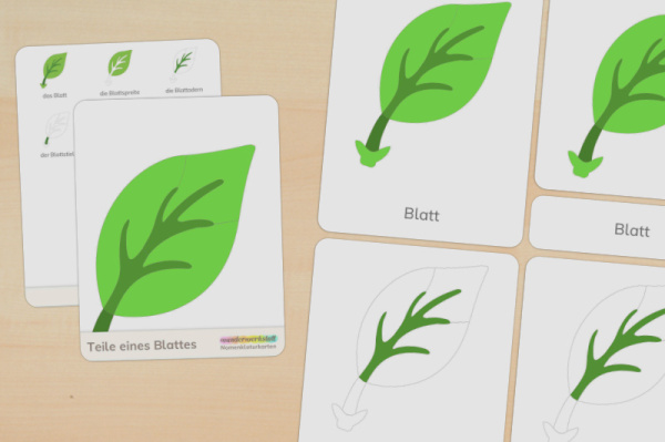 (Deutsch - Druckschrift - Download)