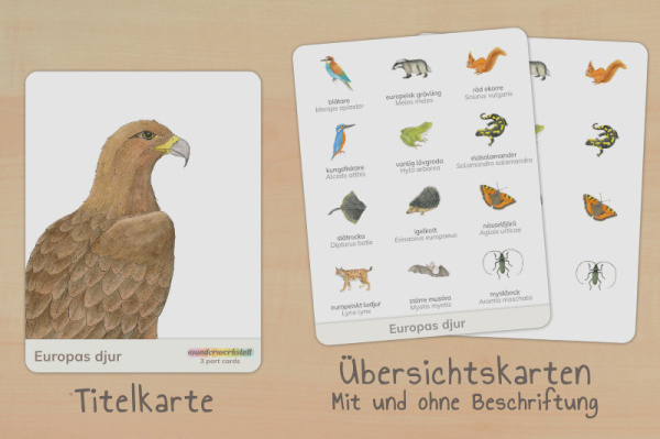 nomen_tiere_europa_schwedisch_titel_2
