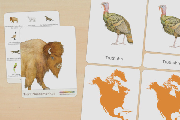 Download-Paket: Tiere Nordamerikas