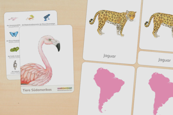 nomen_tiere_sa_down_titel_1
