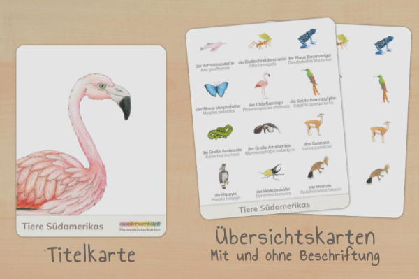 nomen_tiere_sa_down_titel_2