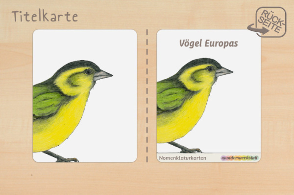 nomen_voegel_c