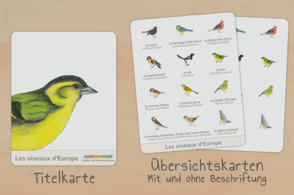 nomen_voegel_europa_franz_titel_2