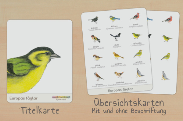 nomen_voegel_europa_schwedisch_titel_2