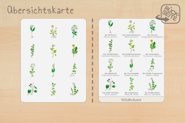 nomen_wild_druck_b