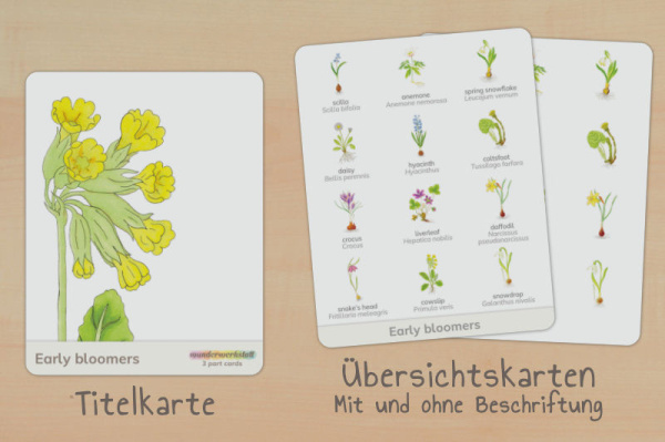 (Englisch - Druckschrift - Download)