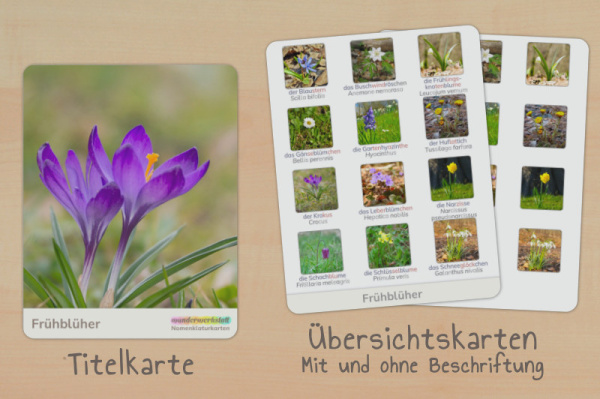 nomenklatur_fruebblueher_foto_silben_tietl_2