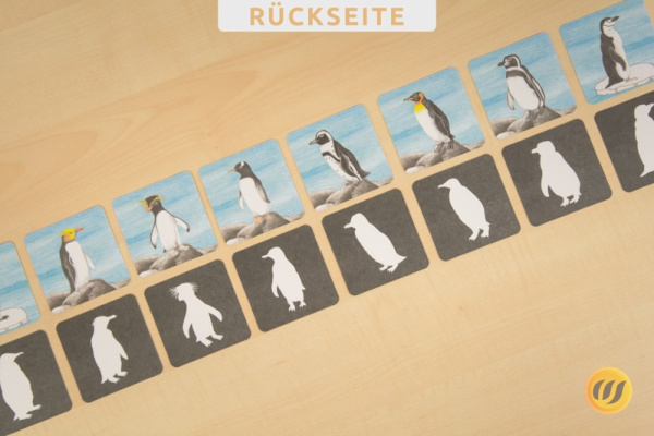 Schnupperkiste Kindergartenkinder