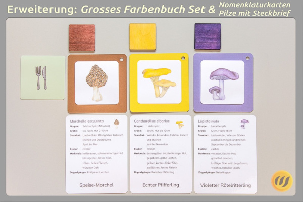 pilzwerkstatt_e4