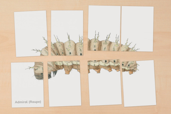 puzzle_raupe_schmetterling3