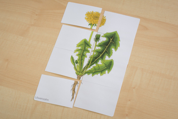 puzzle_wildkraeuter3