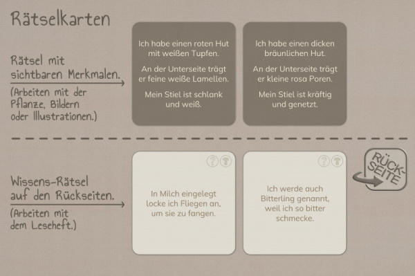 raetsel_pilze__3