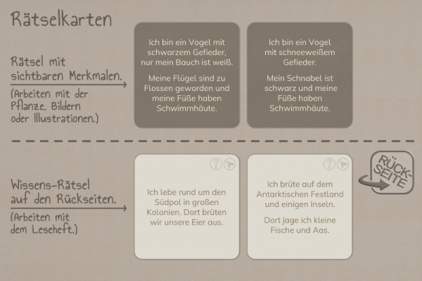 raetselkarten_antarktis_3