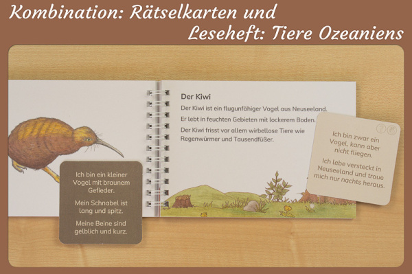 raetselkarten_ozeanien_combo2