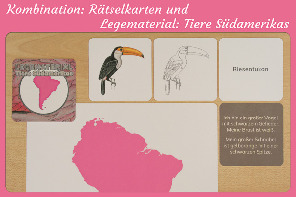 raetselkarten_suedamerika_combo