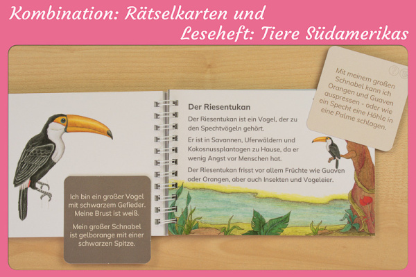 (Profidruck mit Spiralbindung)