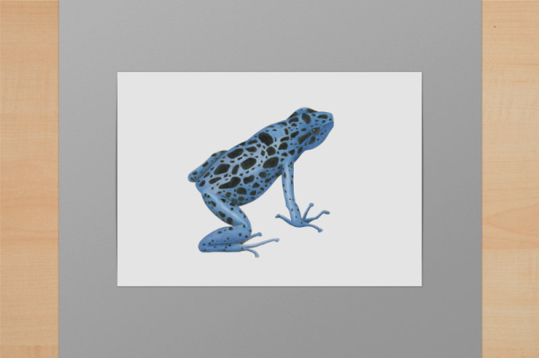 Blauer Baumsteiger A6