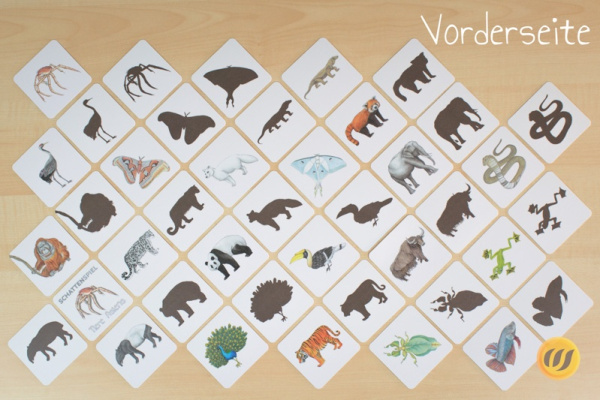 schatten_asien_druck7