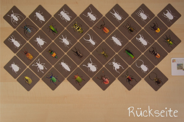 schatten_kaefer_druck10