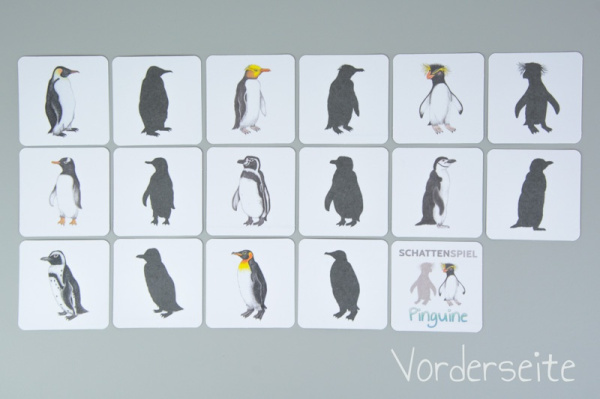 schatten_pingu1