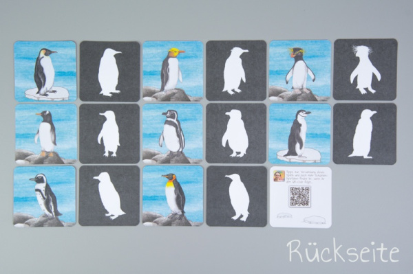 schatten_pingu2