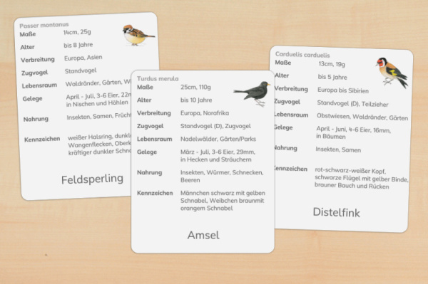 Download-Paket: Heimische Vögel