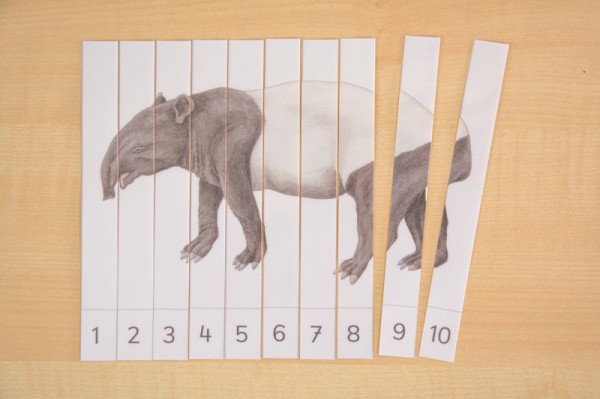 Tiere Asiens Streifen-Puzzle (Download)