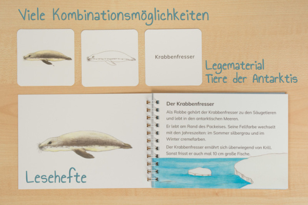 tiere_antarktis_6