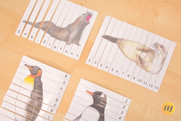 Pinguine und Tiere der Antarktis Streifen-Puzzle (Download)