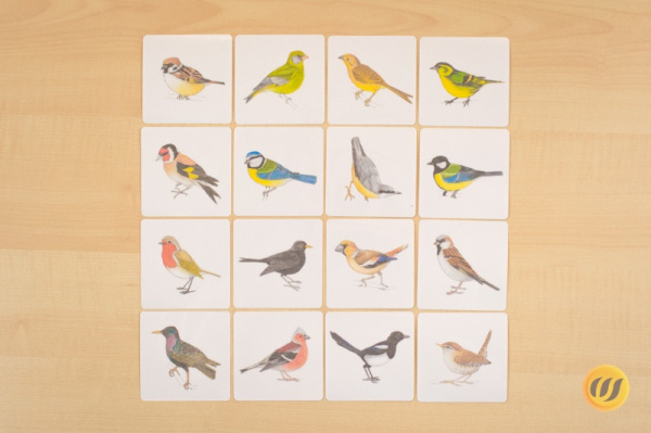 vogelwerkstatt6