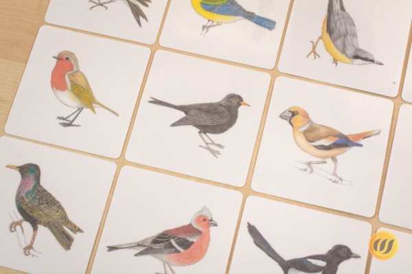 vogelwerkstatt7