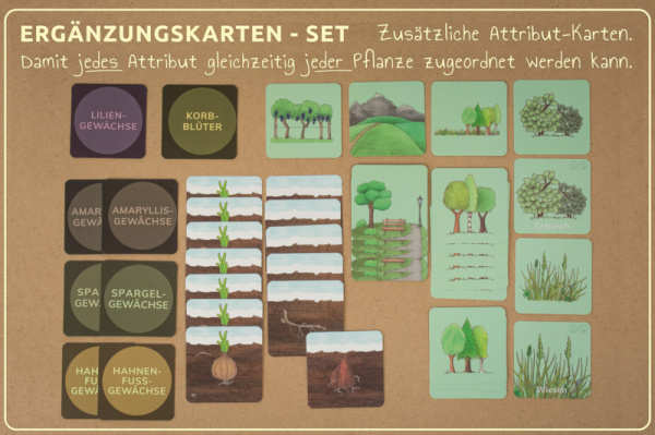 w_fb_druck_erg_3
